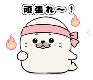 843387657