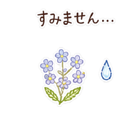 843387676