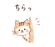 843387699