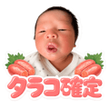 843388272