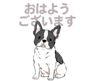 843388537