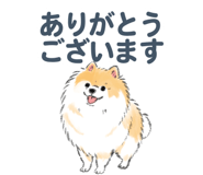 843388542