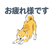 843388544