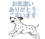 843388550