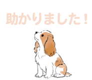 843388560