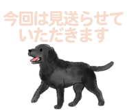843388562