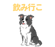 843388576