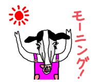 843388782