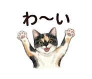 843389219
