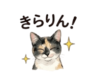 843389222