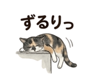 843389232