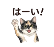 843389233