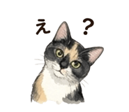 843389242