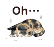843389245