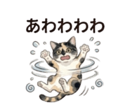 843389250