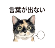 843389251