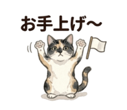 843389253
