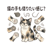 843389256