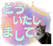 843389304