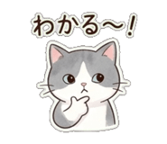 843389620