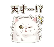 843389621