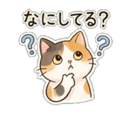 843389634