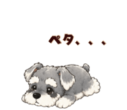 843390050