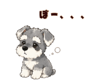 843390052