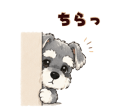 843390054