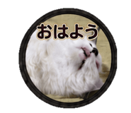 843390201