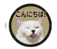 843390202