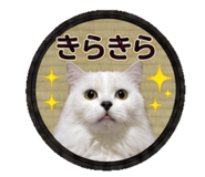 843390207