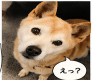 843391444