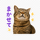 843392348