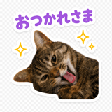 843392356
