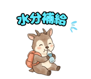 843393330