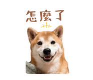 843395634