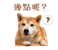 843395638