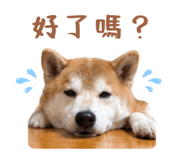 843395639