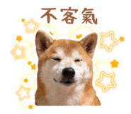 843395644