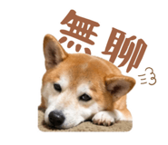 843395651