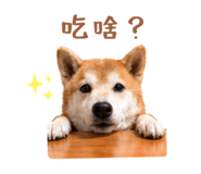 843395653