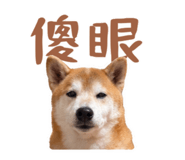 843395655