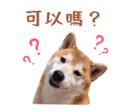 843395662