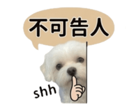 843396217