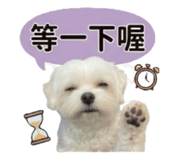 843396240