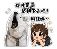 843397034