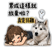 843397043