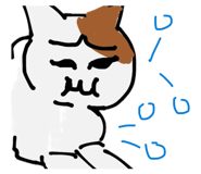 843397231
