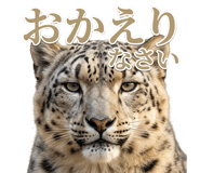 843397719